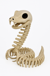 Spooky Skeleton Snake Halloween Prop